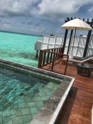 黑坑鲤鱼饵料搭配