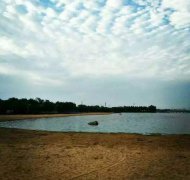 黑坑钓大鲫鱼饵料搭配