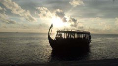 黑坑钓大鲤鱼自制饵料