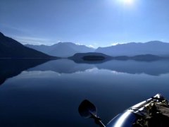 黑坑鱼饵小药钓鱼用品