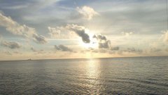 黑坑钓鱼特效添加剂