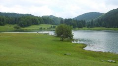 黑坑钓鱼竿28调