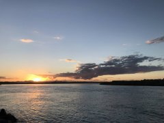 黑坑钓鱼小药野钓怎么玩