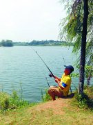 黑坑钓鱼小药搭配技巧