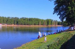 颗粒垂钓黑坑怎么打窝