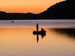 钓鲫鱼黑坑主线要多大