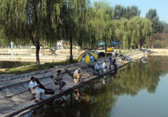 钓黑坑鲤鱼浮漂选择