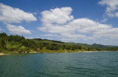 黑坑钓鲤鱼怎样调鱼漂