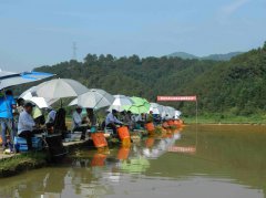 北京黑坑钓鱼鱼饵