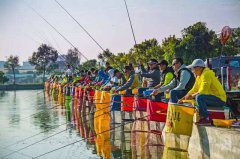 黑坑草鱼的钓法