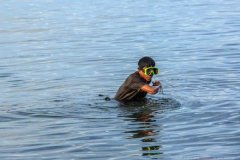 夏天肥水黑坑钓鲤鱼