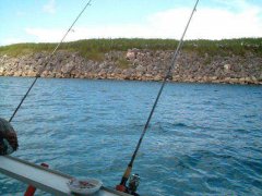 黑坑江湖第12集