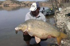 黑坑钓鱼自制酒米配方