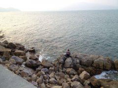 钓鱼夏季黑坑钓大鲫鱼