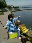 黑坑钓罗非饵料