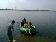 黑坑罗非秘饵与钓法