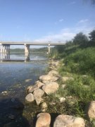 肥水黑坑钓鲤鱼