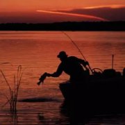 黑坑小鸡饲料钓鱼配方