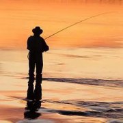 黑坑钓鲤鱼如何调漂视频