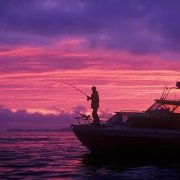 黑坑钓鲤鱼看漂相视频