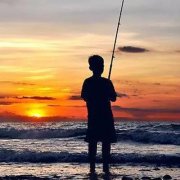 黑坑江湖鲤鱼饵小药