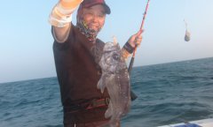 黑坑钓鱼的小药