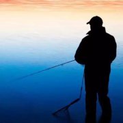 化绍新黑坑钓鲤鱼技巧