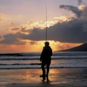 黑坑鲤鱼钓半水？