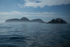 野钓鲫鱼调漂视频