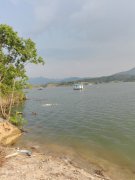 野钓拉饵调钓漂