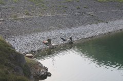 房山哪里可以野钓水库