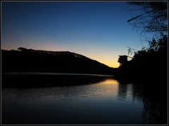 野钓鲫鱼打窝料