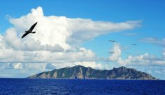 东北黑坑用什么鱼饵