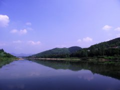黑坑鲤鱼散炮饵料配方