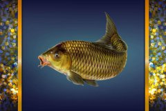 黑坑偏坑怎么恢复