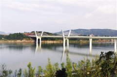 黑坑比赛怎么打好