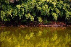 黑坑放鱼该怎么钓呢