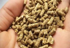 新开黑坑用什么料好