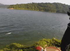 黑坑赚钱就这样玩