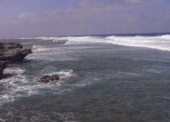 黑坑赚钱子母塘的玩法