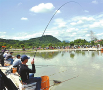 黑坑散炮怎么玩？