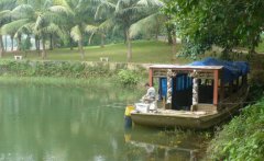 黑坑小药怎么使用呢?