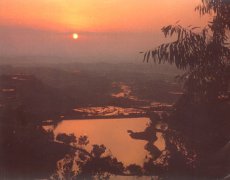 黑坑鱼塘应该使用哪种小药？小药的量加多少？