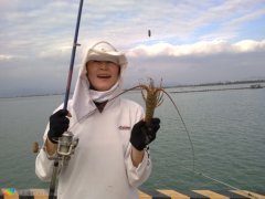 黑坑小药使用了就能爆护么？