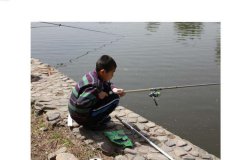 做好钓鱼黑坑老板该怎么做？