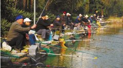 靠黑坑鱼塘发财的都来看