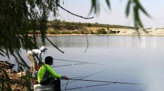 钓鱼小药的季节使用方法
