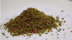 散炮钓黑坑状态、开法、捏饵技巧！