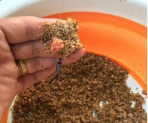 【钓鱼技巧】“黑坑散炮”开与用，就这么简单