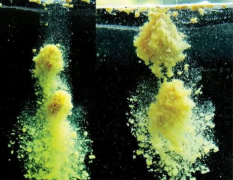 散炮饵的使用技巧，黑坑钓鱼必备